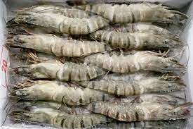 Tôm sú nguyên con đông lạnh 20 con